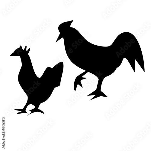chicken in the pasture
