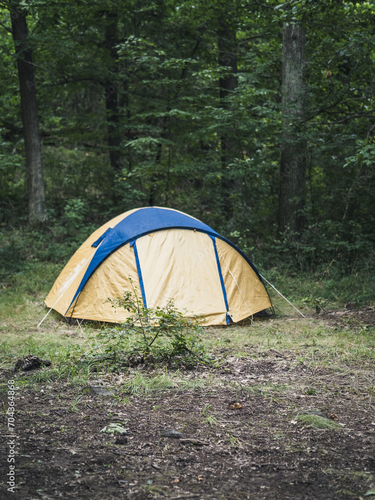 Yellow and blue tent in a clearing in the woods, no people, copy space