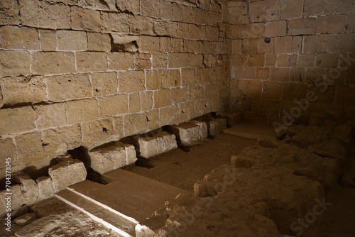 Fotografie medieval latrine