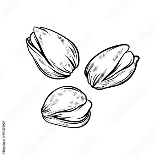 Pistachios vector hand drawn illustrations, isolated on a white background.