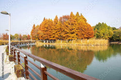 Beautiful view of Bacheng Ecological Wetland Park during autumn session