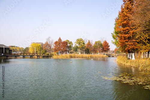 Photography Beautiful view of Bacheng Ecological Wetland Park during autumn session