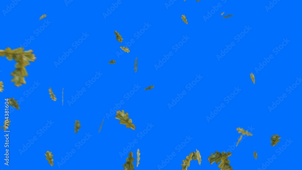 autumn falling leaves animation video autumn falling leaves animation video