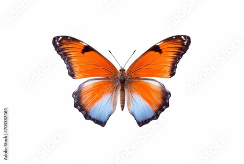 beautiful butterfly isolated on white background. generative ai © LivroomStudio
