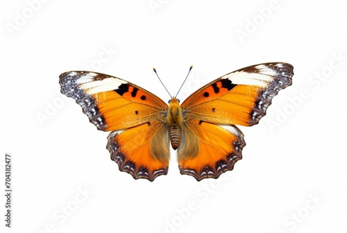 beautiful butterfly isolated on white background. generative ai © LivroomStudio