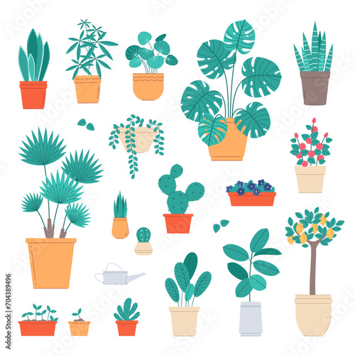 Home plants. Indoor potted flowers, interior live decorations, ficuses, cacti and succulents, room greenhouse, exotic palms, lemon tree and monstera, cartoon flat isolated vector set