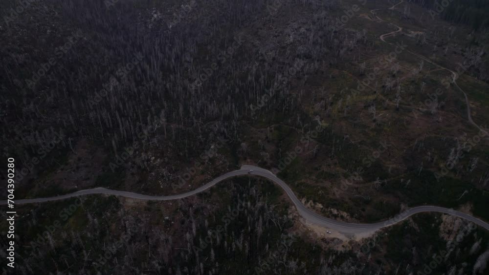 Cars Driving In The Mountain Forest At Sunset Aerial Landscape View In California, United States Cars Driving In The Mountain Forest At Sunset Aerial Landscape View In California, United States
