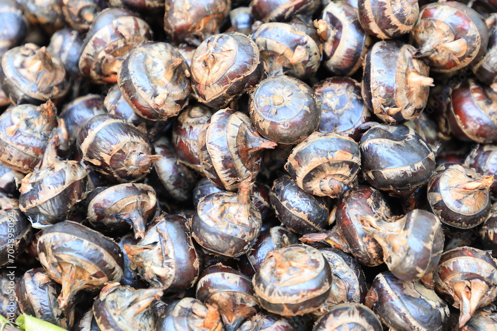 Pile of waternut or chinese water chestnut in for sale in the market in the north of thailand Pile of waternut or chinese water chestnut in for sale in the market in the north of thailand