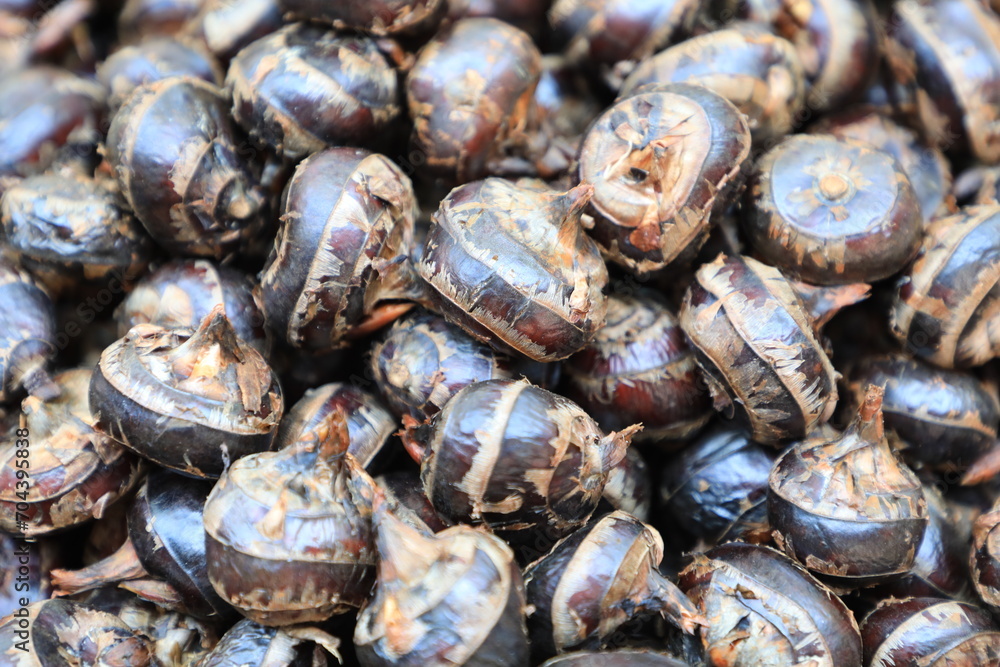Pile of waternut or chinese water chestnut in for sale in the market in the north of thailand Pile of waternut or chinese water chestnut in for sale in the market in the north of thailand