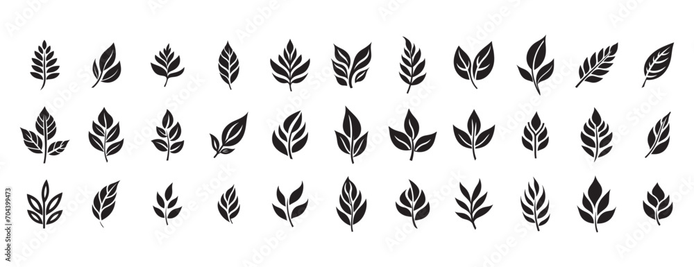 Set of leaves silhouette of beautiful plants, leaves, plant design. Vector illustration. - obrazy, fototapety, plakaty 