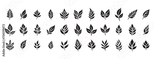 Set of leaves silhouette of beautiful plants, leaves, plant design. Vector illustration. photo