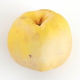 3D rendering of a yellow quince on a white background