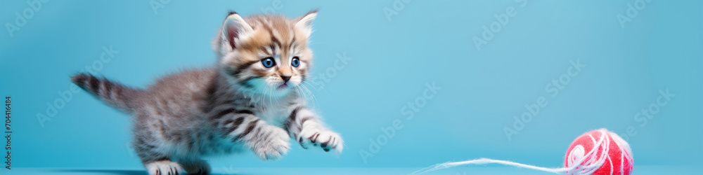 Fototapeta premium A banner with a cute playful kitten chasing a red ball of yarn on a blue background.