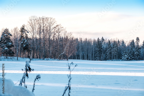 A beautiful Finnish wintery scene. A snow-covered pasture with a forest in the background.