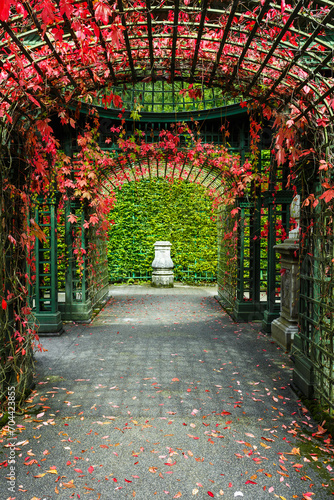 Colorful covered garden walkway or arbor