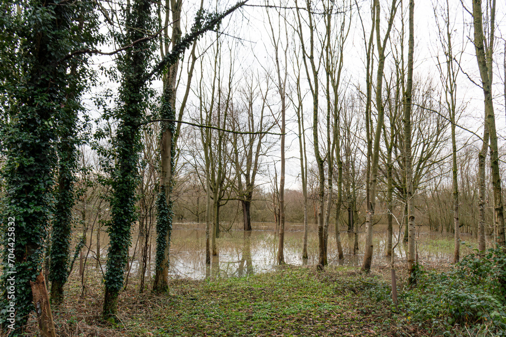 Fototapeta premium Flooded field where the river Colne in watford has burst it banks