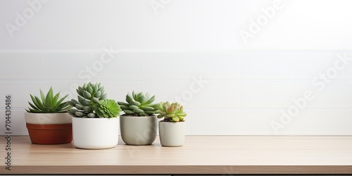 White kitchen with clean cabinets, close up. Green succulent pot on wooden worktop. Modern kitchen interior with kitchenware. White tiles background.