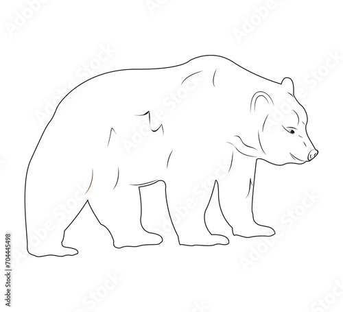 Bear on a white background. Design of greeting cards  posters  patches  prints on clothes  emblems. Natural open spaces. Ecology. Natural open spaces.