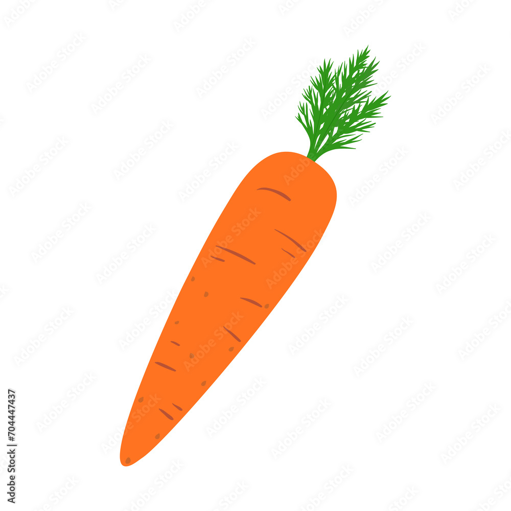 Carrot. Fresh root vegetable. Concepts of food and cooking. Colorful spring vegetable. Natural product. Healthy eating and diet. Design of greeting cards, posters, patches, prints on clothes, emblems. Carrot. Fresh root vegetable. Concepts of food and cooking. Colorful spring vegetable. Natural product. Healthy eating and diet. Design of greeting cards, posters, patches, prints on clothes, emblems.