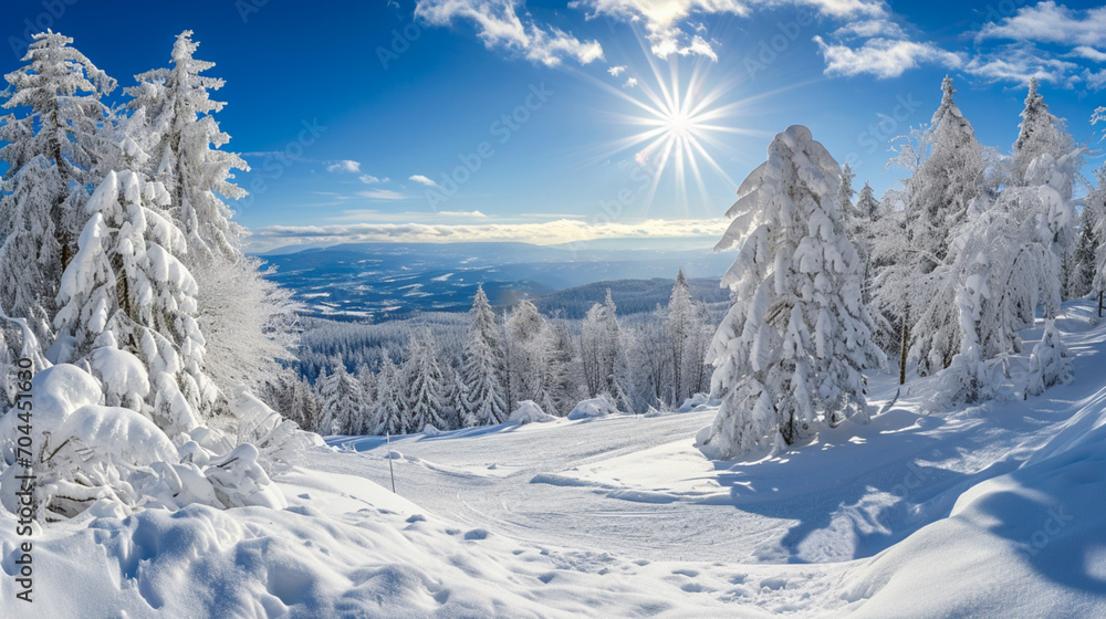 snowy mountain view forest, winter vacation, skiing, winter camping