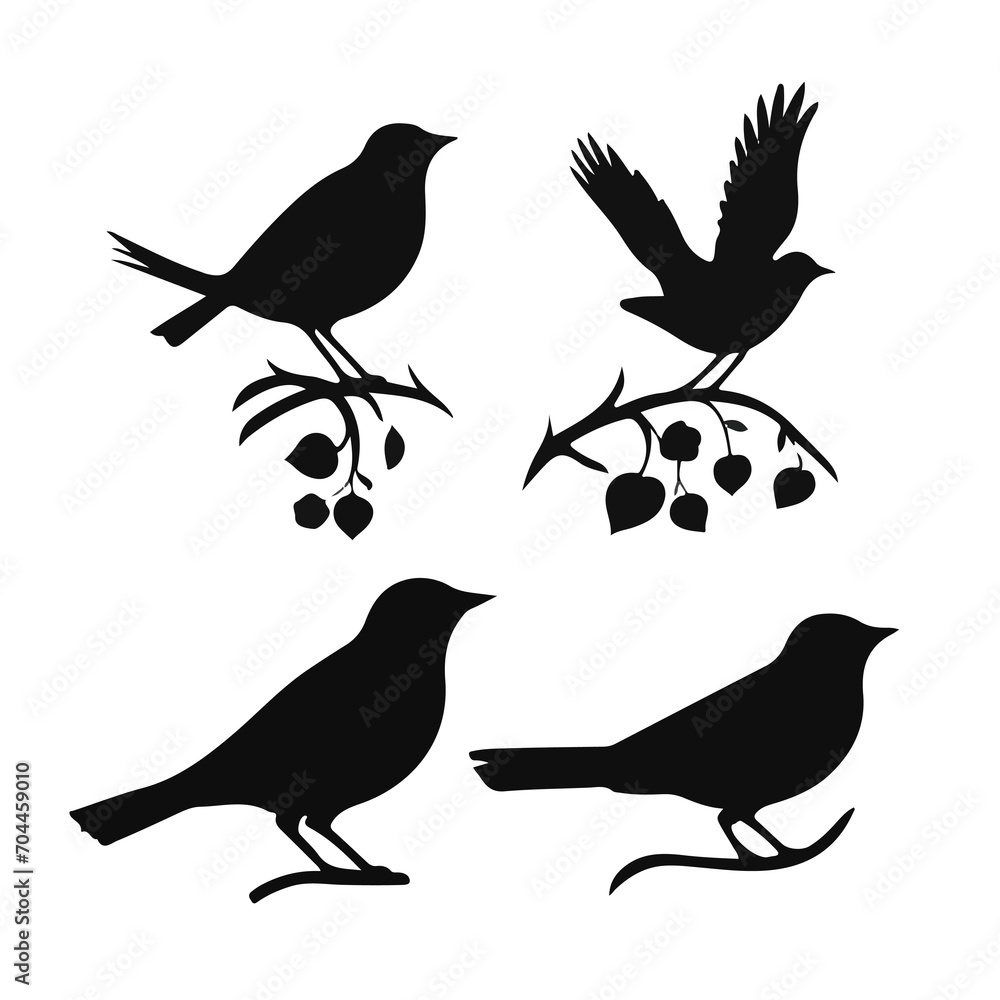 Obraz premium Vector Collection of Bird Silhouettes