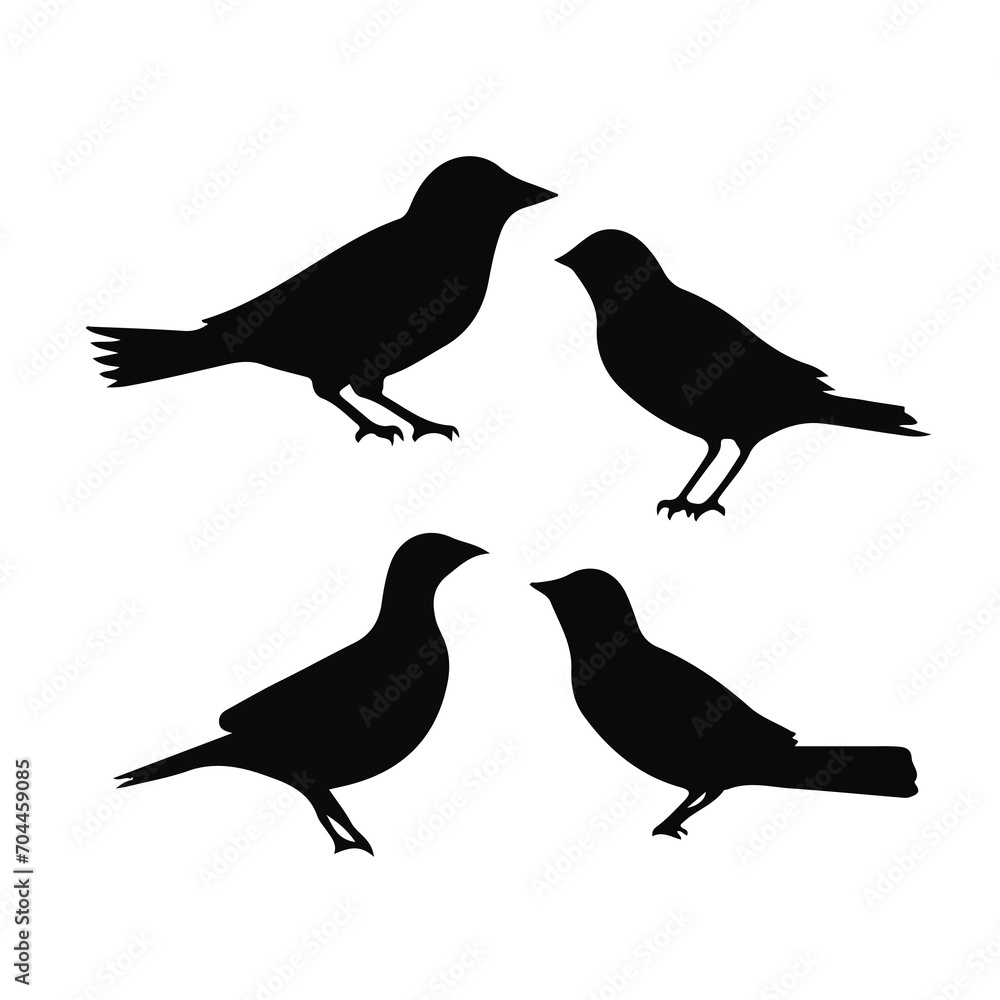 Fototapeta premium Vector Collection of Bird Silhouettes
