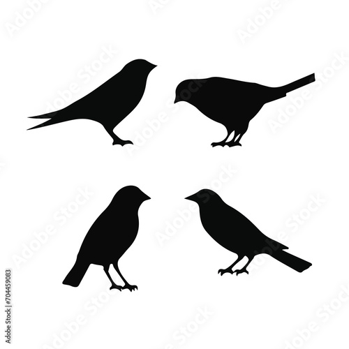 Vector Collection of Bird Silhouettes