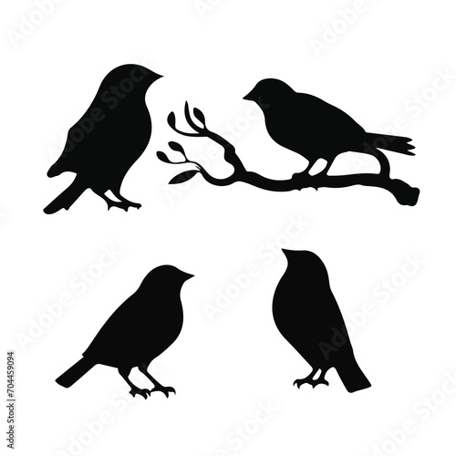 Vector Collection of Bird Silhouettes