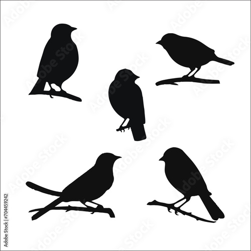 Vector Collection of Bird Silhouettes