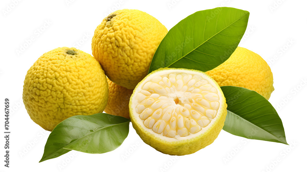 Ugli Fruit PNG, Citrus Hybrid, Exotic Fruit, Ugli Fruit Image, Unique