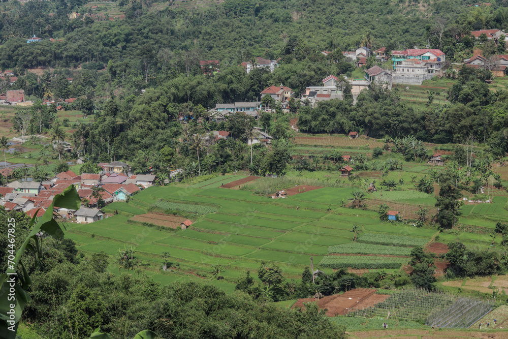 landscape of green rice terraces with traditional Indonesian houses around it