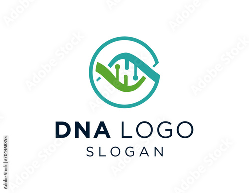 The logo design is about DNA and was created using the Corel Draw 2018 application with a white background. photo