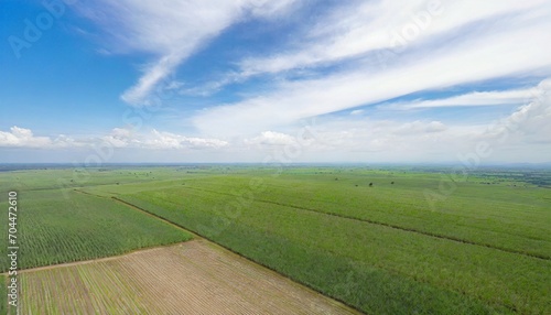 sugar cane farm sugar cane fields view from the sky drone photo of cane sugar sugarcane field in blue sky and white cloud aerial view or top view of sugarcane or agriculture