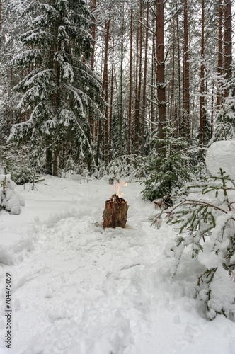 A small fire in a snowy forest in winter. Picnic in winter forest.