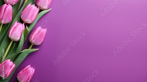 Top-down view. Beautiful colorful tulip flowers on violet background,
