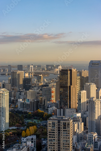 High angle urban landscape of Tokyo, Japan at dusk