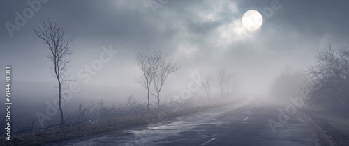 Spring landscape with trees along the road in thick fog and clouds in the sky through which the sun is peeking photo