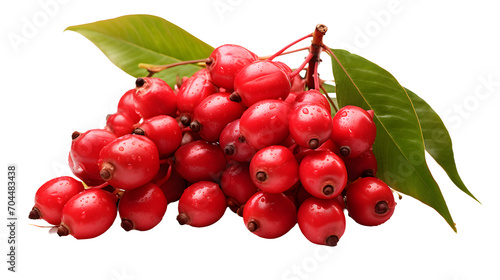 Quandong, transparent background, high-resolution image, native Australian fruit, bright red color, quandong clipart, unique produce illustration photo