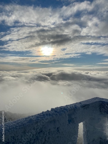 Cloudy Whiteface