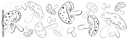 A set of black and white mushrooms of different sizes and shapes drawn with lines. For design, decoration, invitations, cards.