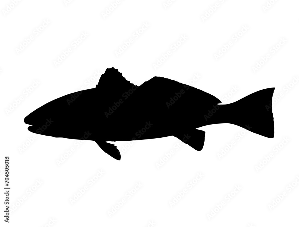 Red Drum Fish silhouette vector art white background Red Drum Fish silhouette vector art white background