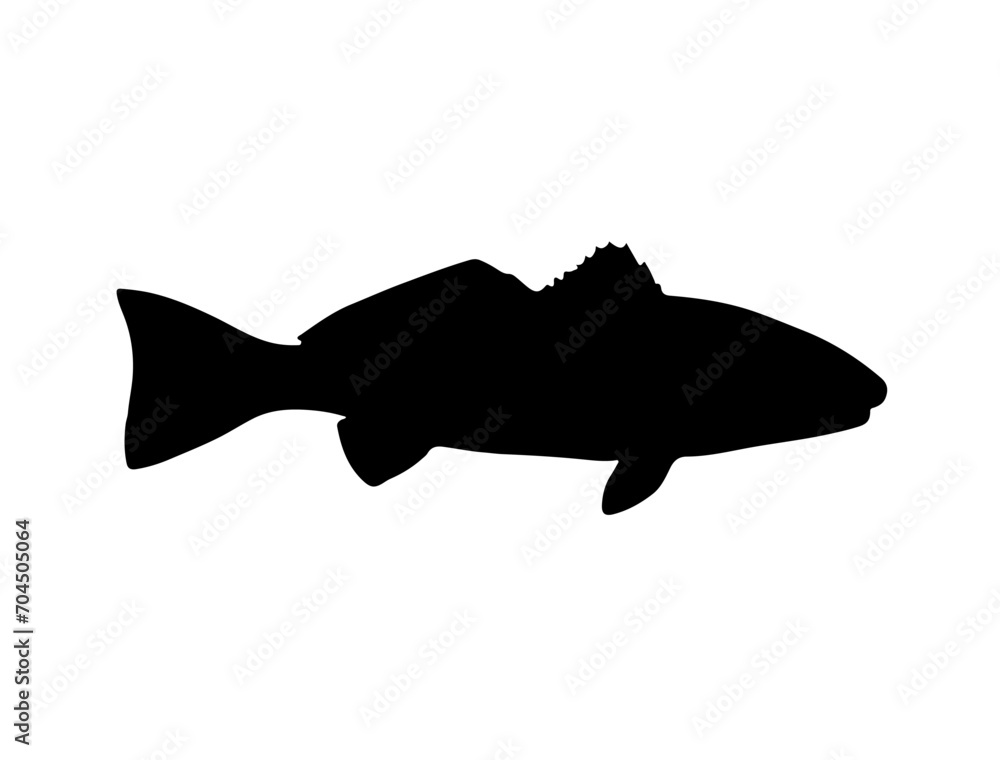 Red Drum Fish silhouette vector art white background Red Drum Fish silhouette vector art white background