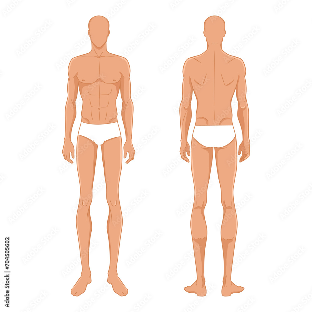 Fototapeta premium Male fashion model standing, front, and back views. Nine-head fashion figure template. Handsome young man, vector illustration. Man fashion colored croquis 