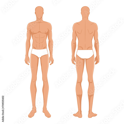Male fashion model standing, front, and back views. Nine-head fashion figure template. Handsome young man, vector illustration. Man fashion colored croquis 