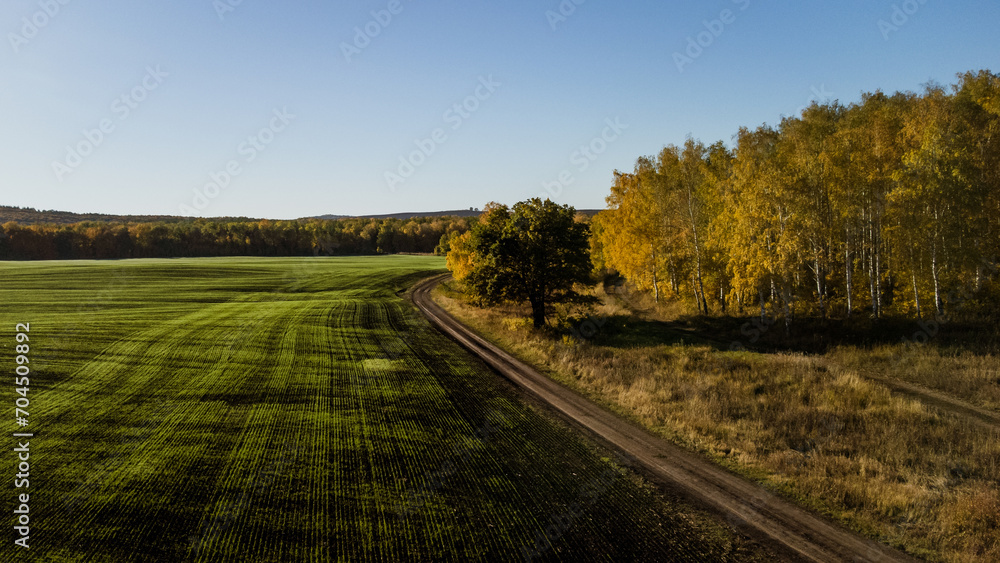 spring plowed field in the morning in spring spring plowed field in the morning in spring