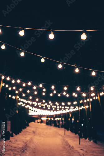 illuminated alley in snowy winter park, snow in forest and road with festive decorated light bulbs at night 4k © goami