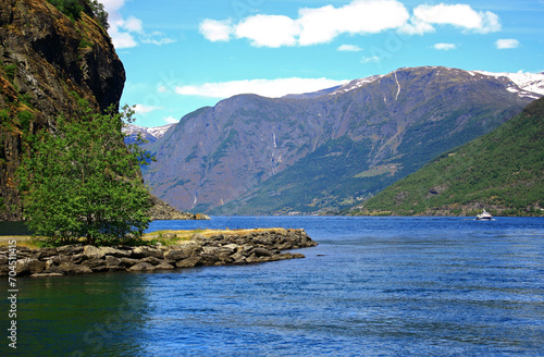 Norway. Picturesque Norwegian fjords on a summer day. © Olena