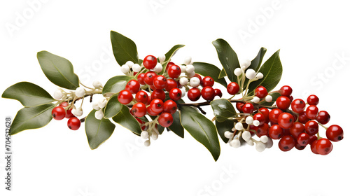 Mistletoe, transparent background, high-resolution image, holiday decoration, festive plant, mistletoe clipart, Christmas illustration