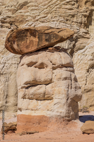 Toadstools in the Grand Staircase-Escalante National Monument Utah photo