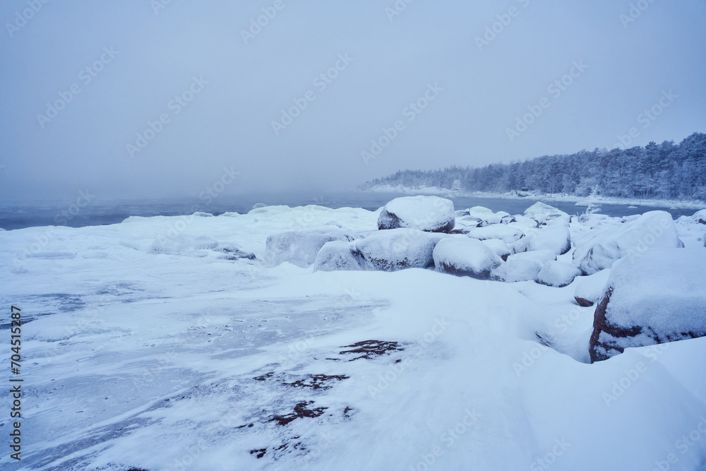Winterstorm in seashore